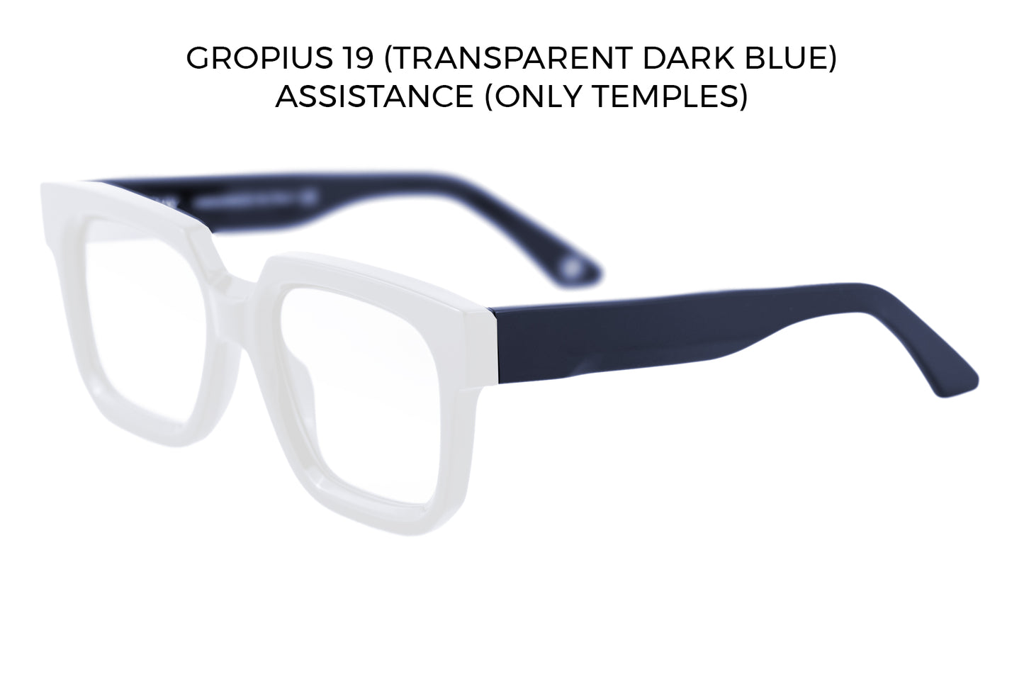 Gropius frame temples