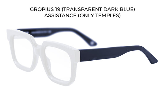 Gropius frame temples